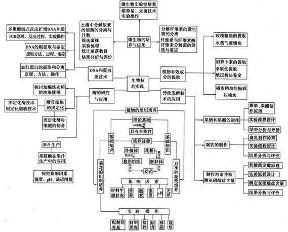 初中生物:知识点梳理和思维导图,初一初二考生必看