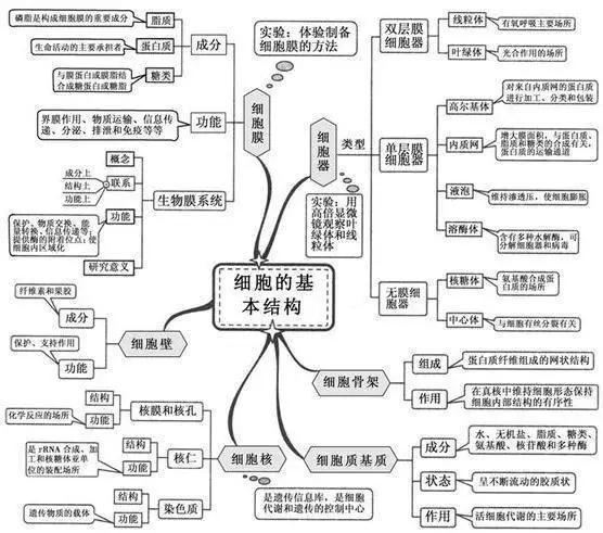 初中生物:知识点梳理和思维导图,初一初二考生必看