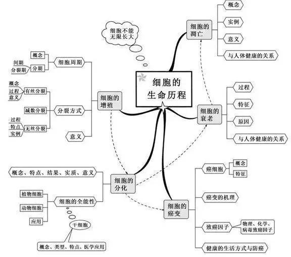 初中生物:知识点梳理和思维导图,初一初二考生必看