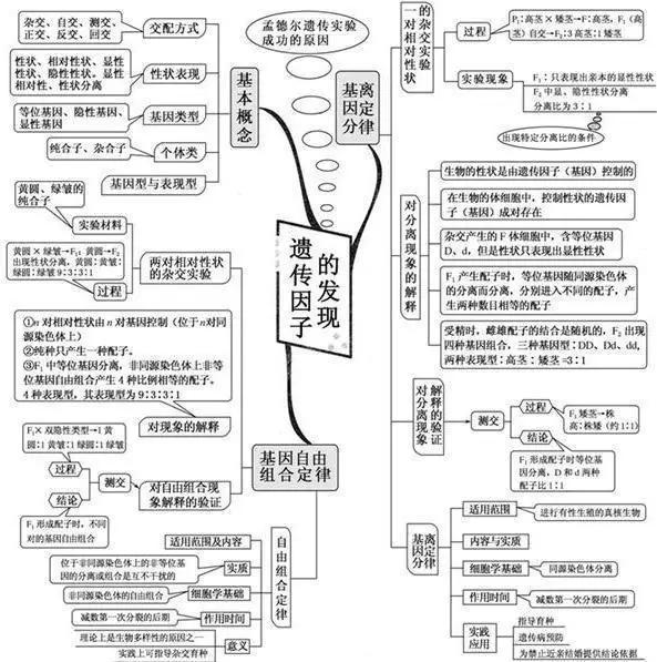 初中生物:知识点梳理和思维导图,初一初二考生必看