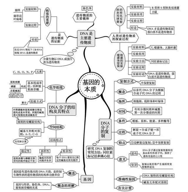 初中生物:知识点梳理和思维导图,初一初二考生必看