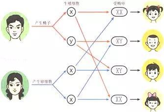 初中生物:知识点梳理和思维导图,初一初二考生必看