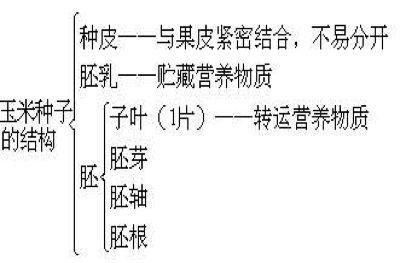 初中生物:知识点梳理和思维导图,初一初二考生必看