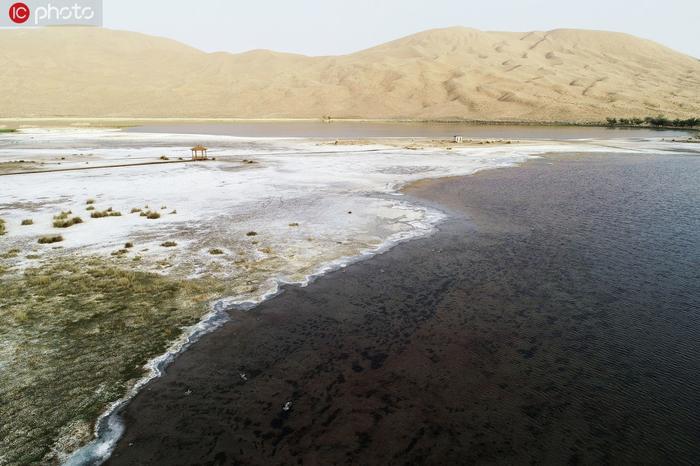 内蒙古阿拉善大漠中的奇景 108个泉眼日夜不停地涌水被称为“神泉”