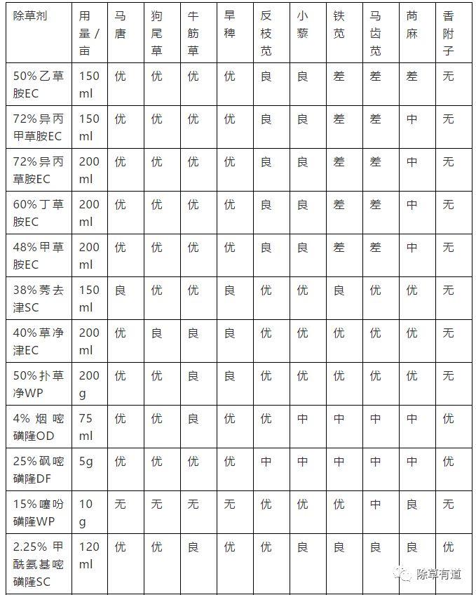 关于玉米除草剂，你想知道的都在这里！