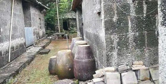 村里的旧水缸,放进一段藕根,开出满满的莲花
