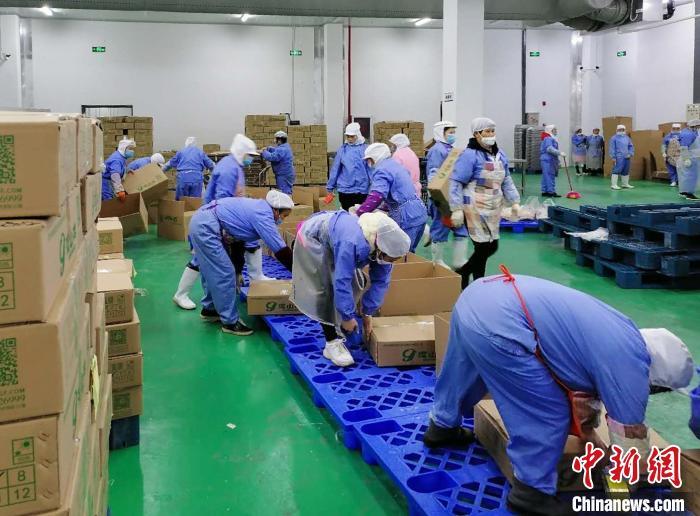 资料图:工人打包加工好的“滚山鸡”。 王维英 摄