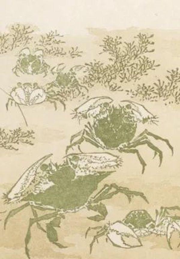 同期浮世绘中螃蟹的形象