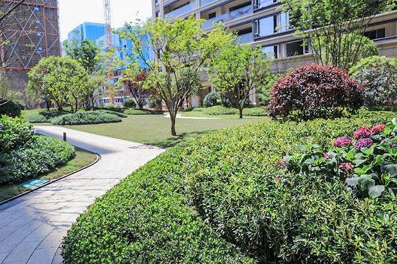 ▲诚园施工进度实景图