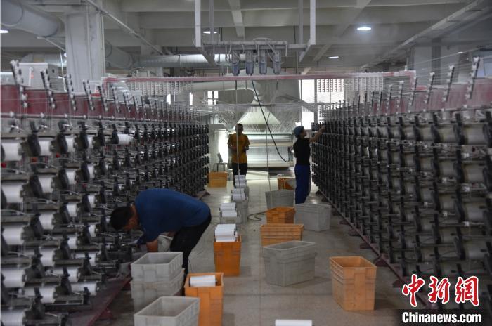 浙江苍南一塑编企业生产车间 范宇斌 摄