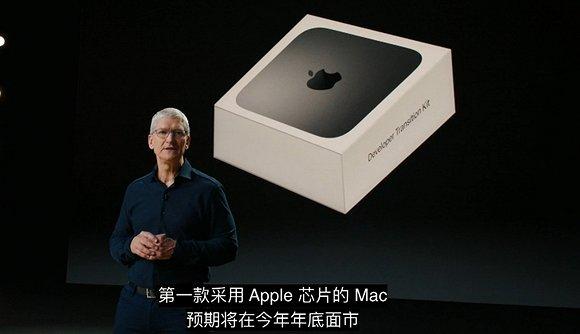 图自:WWDC 2020直播