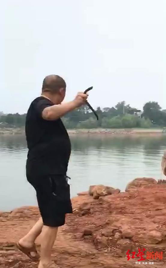 辟谣！已报案！“三岔湖有人放蛇”视频拍摄地找到了