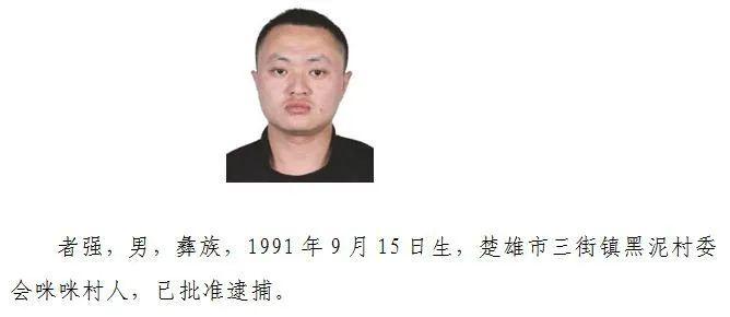 警方再次征集其犯罪线索 大连商人王振国被判15年并责令退赔2.7亿后