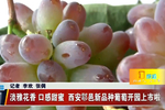 盘龙药业:公司独家品种盘龙七片纳入《国家基本医疗保险,工伤保险和