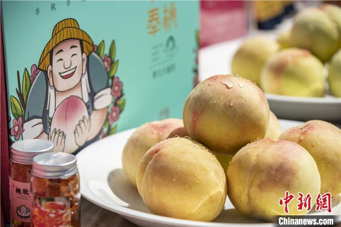 奉化水蜜桃。奉化新闻办提供