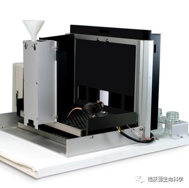 技术干货 | 详解6大动物行为学之学习记忆研究方法