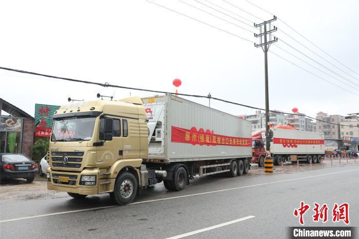 图为惠州荔枝出口北美市场首发仪式现场。惠阳区委宣传部供图