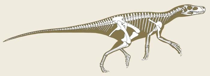 重庆发现恐龙足迹算什么，你知道自己每天都在“吃恐龙”吗？ | 远读重洋