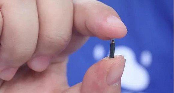 图片来源:深圳特区报