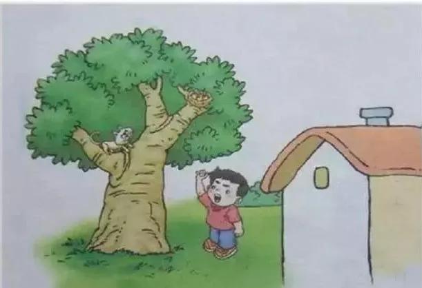 看图写话分类指导及40篇满分范文,一二年级学生有用