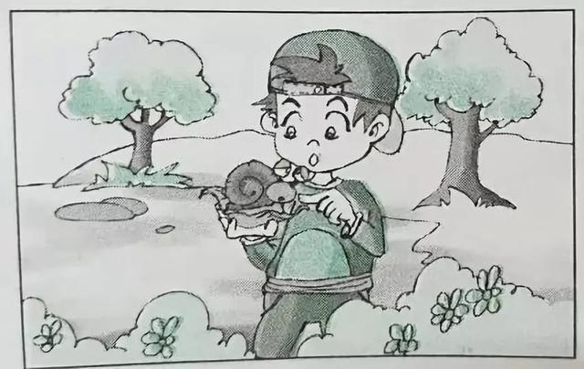 看图写话分类指导及40篇满分范文,一二年级学生有用