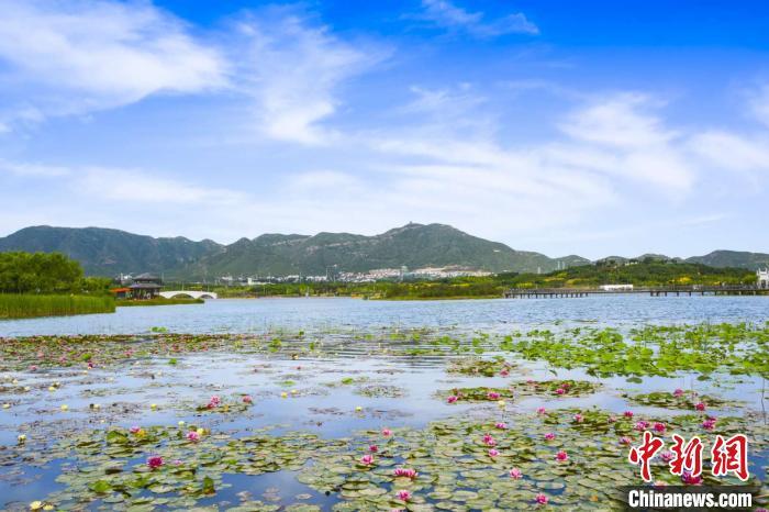 龙泉湖景观。石家庄龙泉湖公园供图