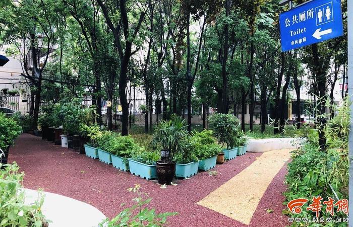 西安一公厕管理员打造“花园公厕”，五年栽种上百盆绿植花卉
