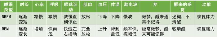 非快速眼动睡眠期和快速眼动睡眠期的特征 图片来源:作者整理绘制