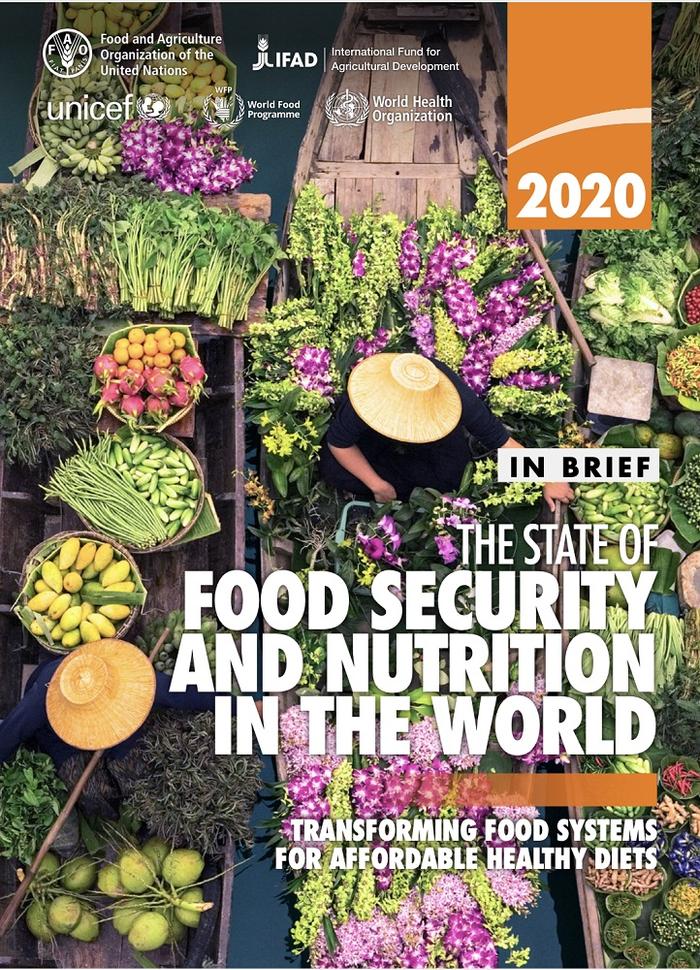 联合国粮农组织发布世界粮食安全和营养状况报告：实现2030年零饥饿目标仍然遥远