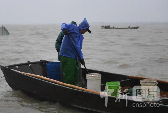 图为渔民冒雨捕鱼。中新社记者 王刚 摄