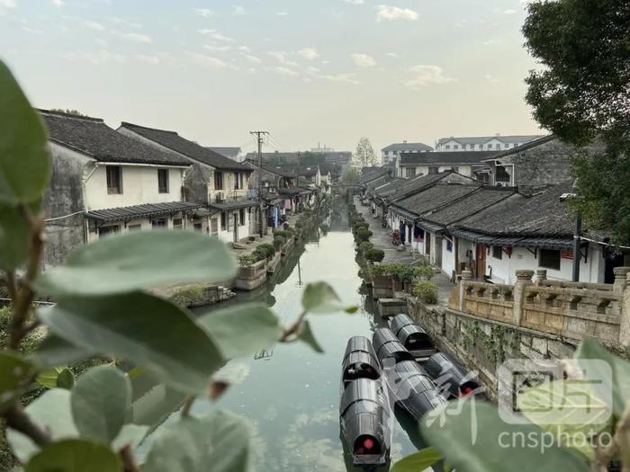 图为乌篷船停在岸边。中新社 项菁 摄