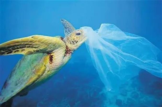 纪录片《塑料海洋》揭露塑料垃圾带给海洋的灾难。(资料图片)