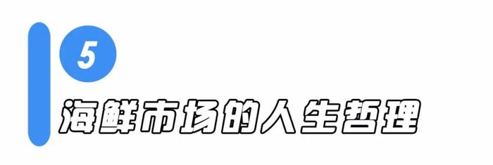 我在埠西海鲜市场待了一整天，拍下了这样的一幕