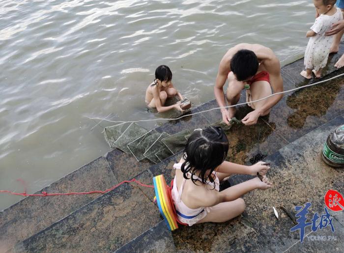 关注 | 野泳者出没！广州到公开水域游泳的人多了，普遍自信“泳技好”，管理方发愁……