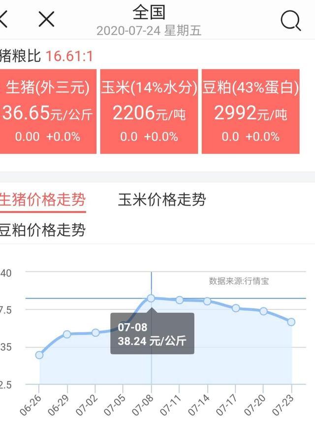 7月24日猪价、肉价：年内猪肉降到15的元概率有多大？你怎么看？