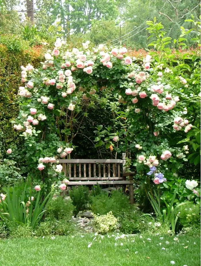 花园系列 | 英式花园，自然浪漫系的优雅花园