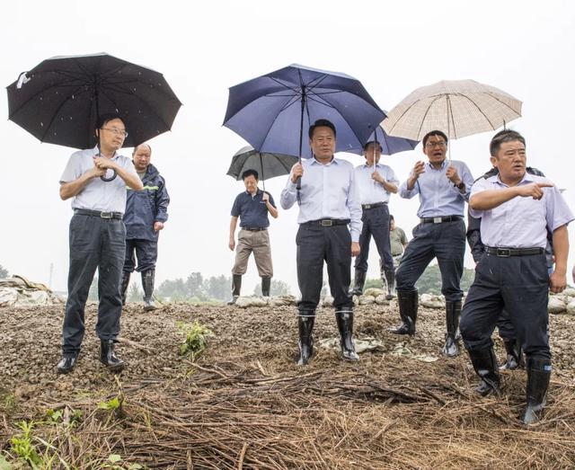 “不惜一切措施！不留一处隐患！”虞爱华冒雨再赴中垾联圩督导抗洪抢险