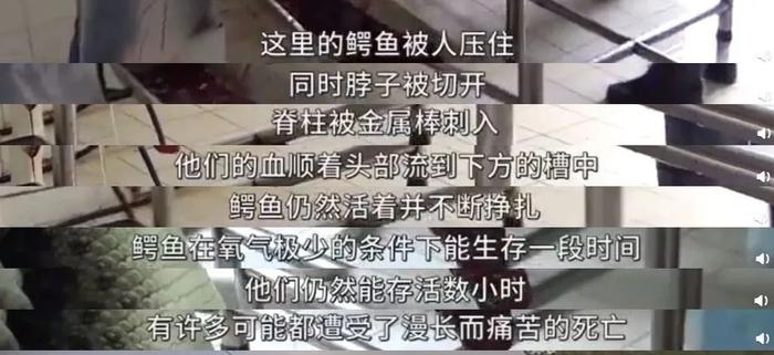 《三十而已》曝光的260万爱马仕「喜马拉雅」铂金包，到底是什么？