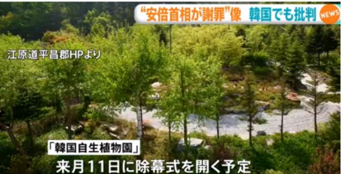 韩国自生植物园 图源:TBS
