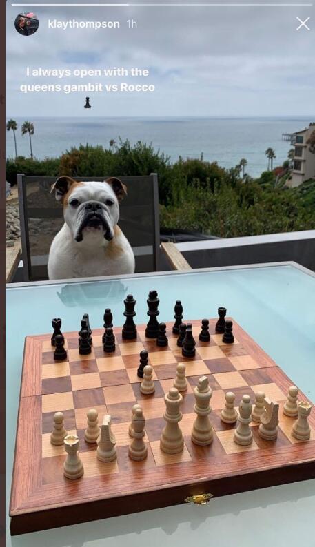 克雷-汤普森和爱犬Rocco下棋