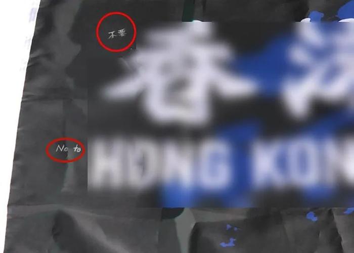首名被捕男子所藏“港独”旗上写有“不要”两个小字,图自“东网”