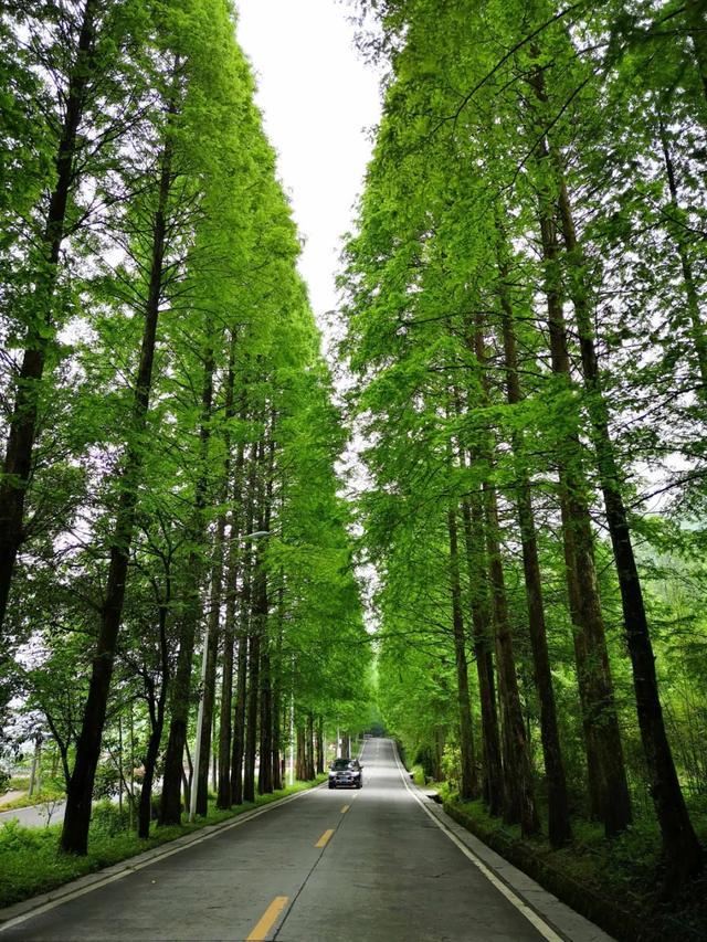 四川耍水攻略！到这些地方漂流、打水仗、放肆high