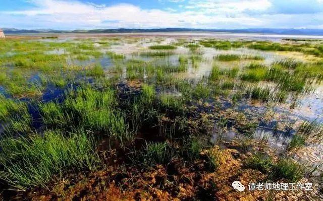 【专题复习】关于湿地的相关知识(概念、分类、形成和保护)，附中国最美六大湿地