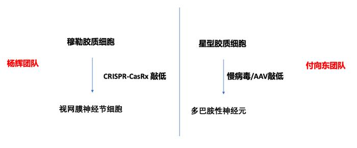 独家探争议｜上海学术新星遭举报，审稿人现身称曾拒稿