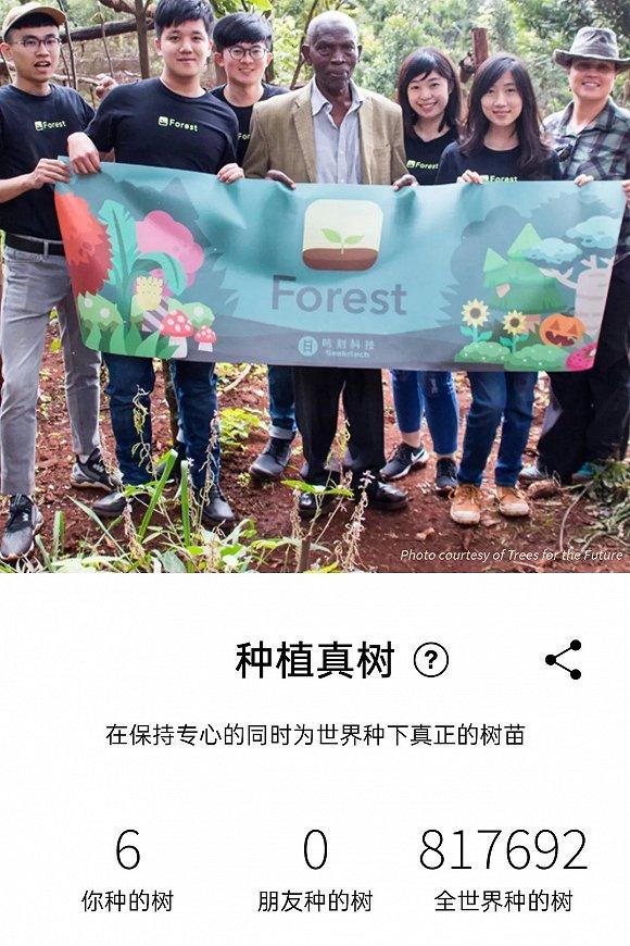 forest“专注种植真树”项目