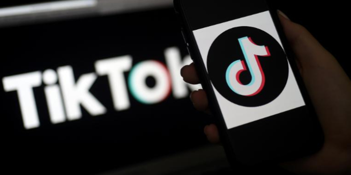 海外抖音tiktok挣钱吗 w700h350z1l10t10cef.jpg