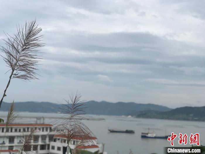 图为温州苍南海边 江杨烨 摄