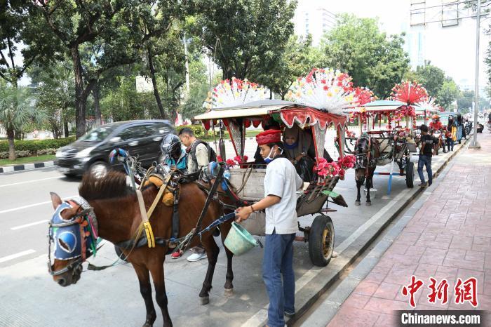 图为独立广场门口马车夫正在招徕游客。 林永传 摄