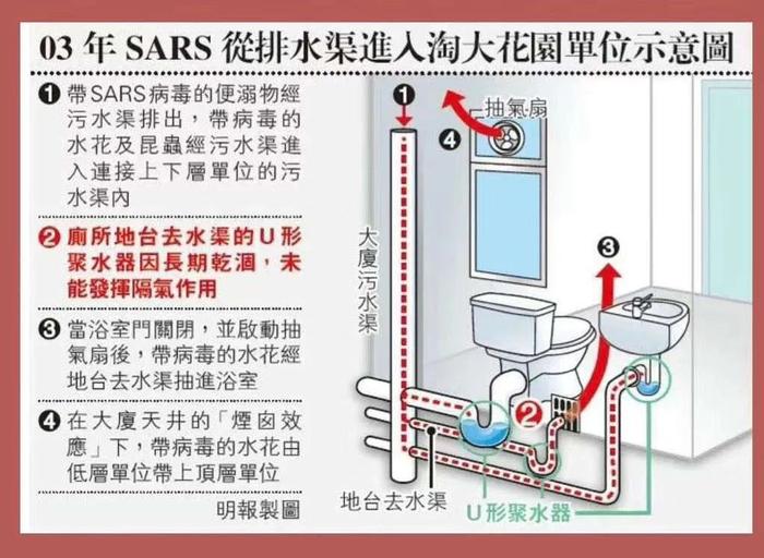 病毒通过排水管道传播的示意图