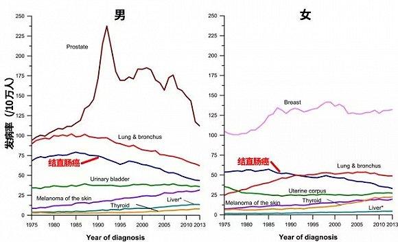 图片来源:cancer statistics, 2017